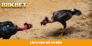Đá gà đòn
