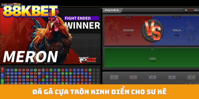 Đá gà cựa tròn kinh điển cho sư kê