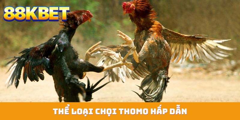 Thể loại chọi Thomo hấp dẫn