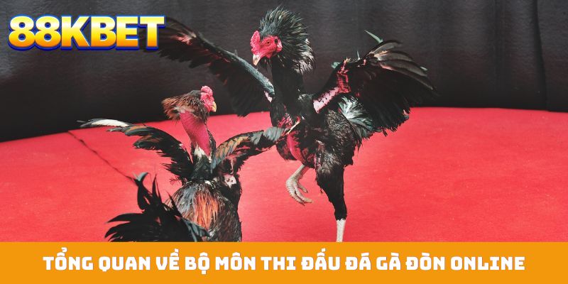 Tổng quan về bộ môn thi đấu đá gà đòn online