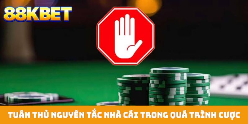 Tuân thủ nguyên tắc nhà cái trong quá trình cược